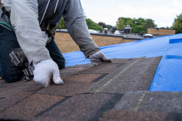 Best Flat Roof Repair Services  in Tuckerman, AR