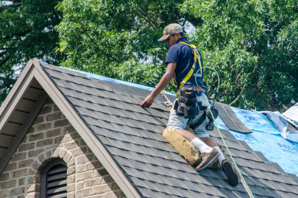 Gutter Installation and Roofing in Tuckerman, AR